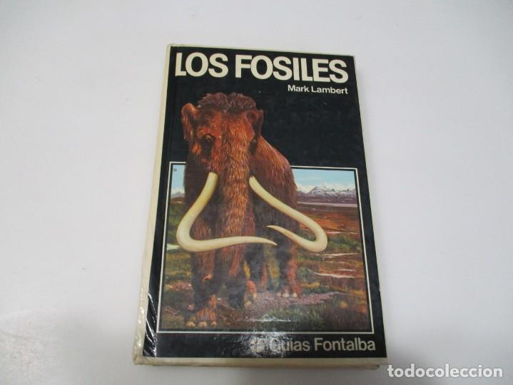 Libros de segunda mano: MARK LAMBERT Los fosiles Q3623T - Foto 1