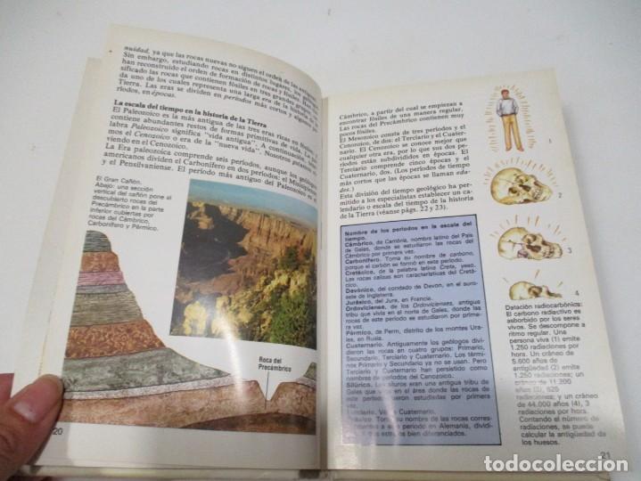 Libros de segunda mano: MARK LAMBERT Los fosiles Q3623T - Foto 2