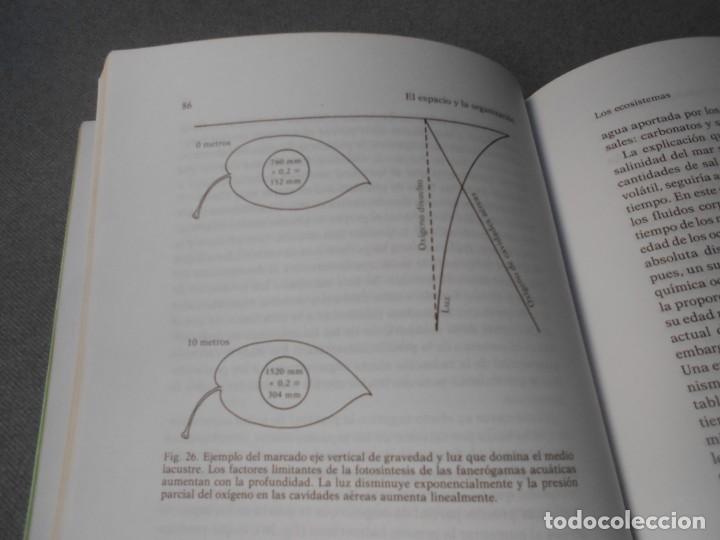 Libros de segunda mano de ciencias: DE LA BIOSFERA A LA ANTROPOSFERA - Foto 5