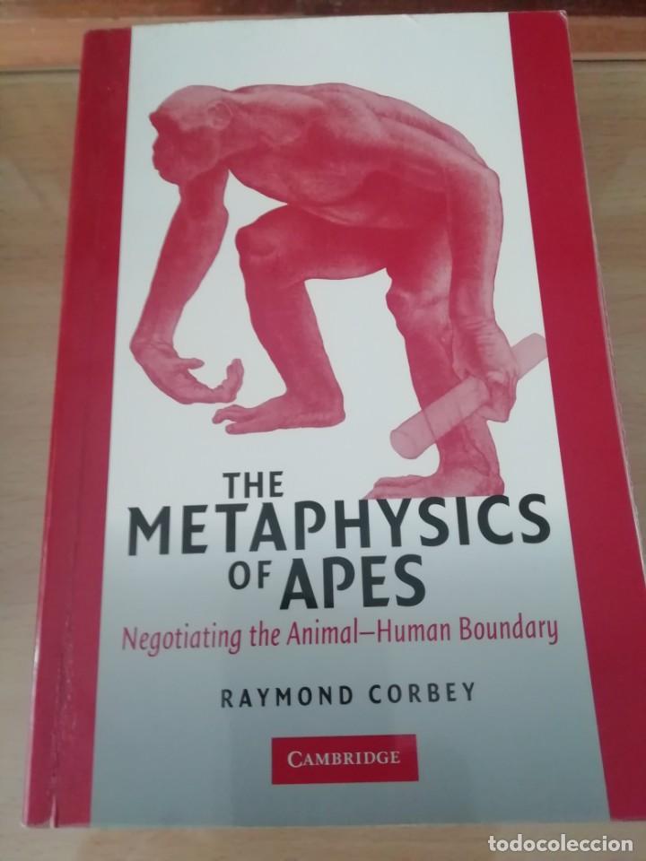 Libros de segunda mano: the metaphysics of apes de Corbey en ingl&eacute;s - Foto 1