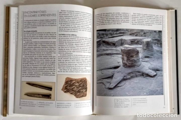 Libros de segunda mano: Los F&oacute;siles GUIA PRACTICA PARA EL AFICIONADO - Foto 3