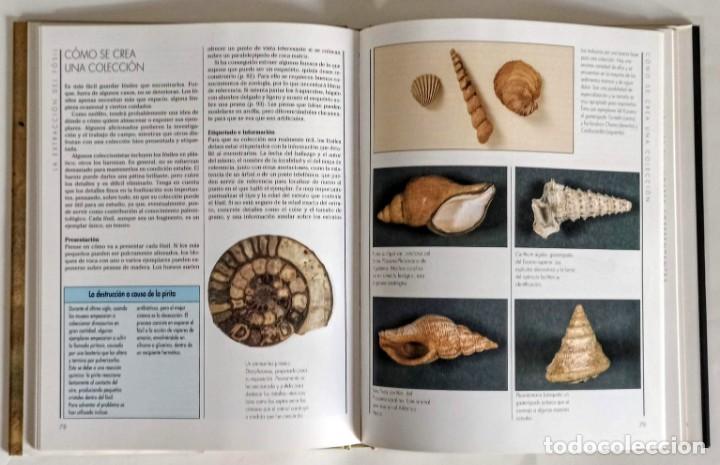 Libros de segunda mano: Los F&oacute;siles GUIA PRACTICA PARA EL AFICIONADO - Foto 4