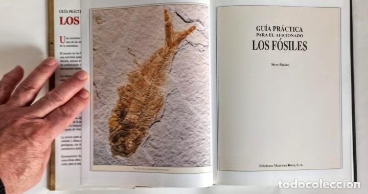 Libros de segunda mano: Los F&oacute;siles GUIA PRACTICA PARA EL AFICIONADO - Foto 6