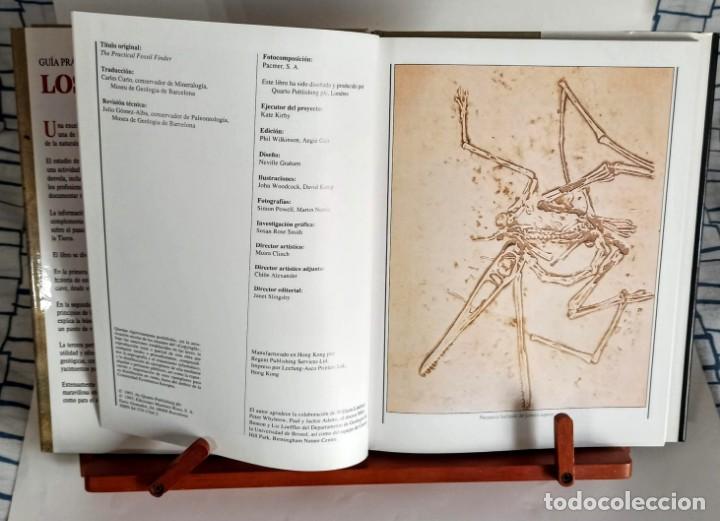 Libros de segunda mano: Los F&oacute;siles GUIA PRACTICA PARA EL AFICIONADO - Foto 7