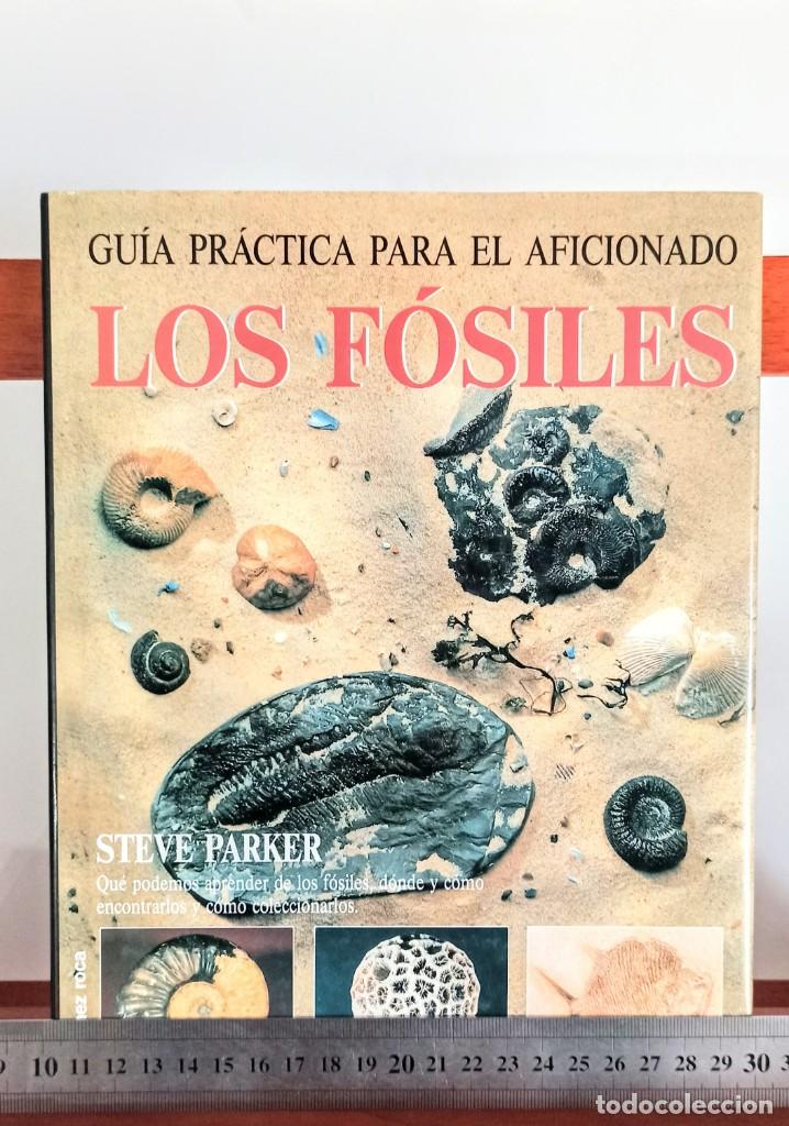 Libros de segunda mano: Los F&oacute;siles GUIA PRACTICA PARA EL AFICIONADO - Foto 8