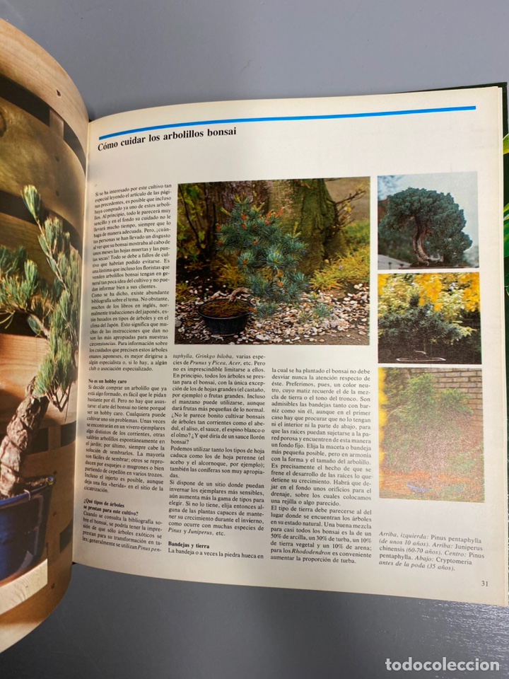 Libros de segunda mano: Libro. Gran libro de plantas y flores. M&aacute;s vivas editores SL. - Foto 2