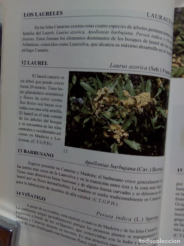 Libros de segunda mano: FLORA DE LAS ISLAS CANARIAS / DAVID BRAMWELL - Foto 3