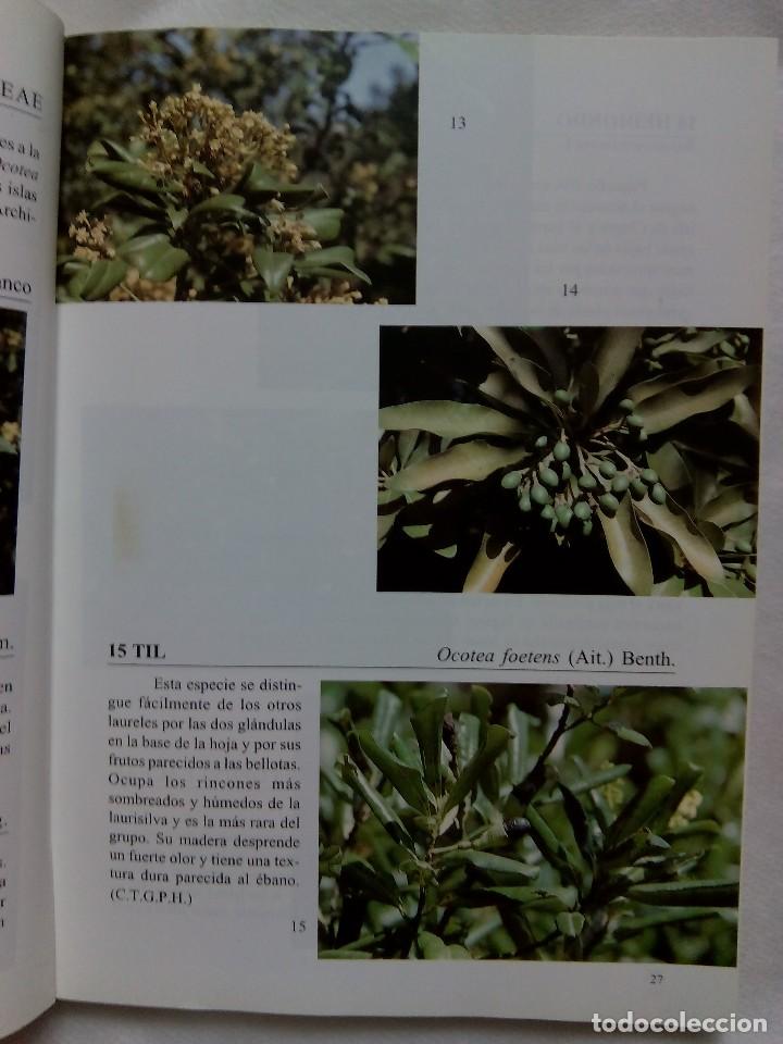 Libros de segunda mano: FLORA DE LAS ISLAS CANARIAS / DAVID BRAMWELL - Foto 4