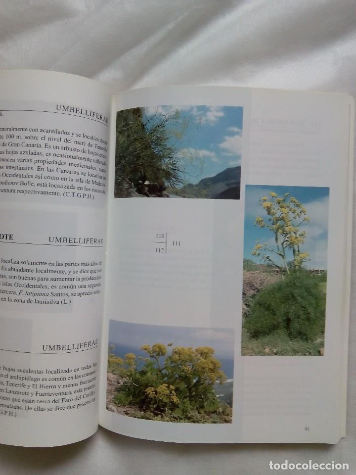 Libros de segunda mano: FLORA DE LAS ISLAS CANARIAS / DAVID BRAMWELL - Foto 5