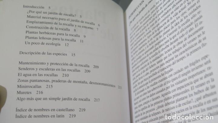 Libros de segunda mano: PLANTAS DE ROCALLA. SUSAETA - Foto 2