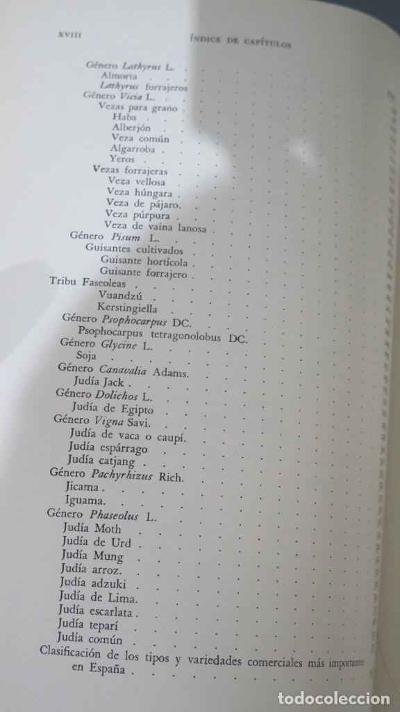 Libros de segunda mano: LEGUMINOSAS DE GRANO. MATEO BOIX - Foto 3