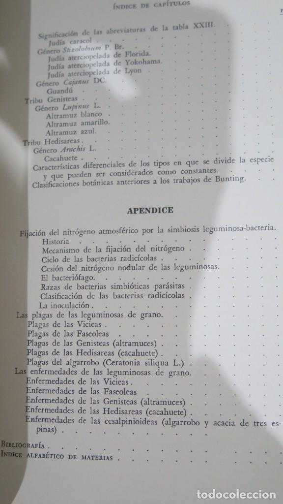 Libros de segunda mano: LEGUMINOSAS DE GRANO. MATEO BOIX - Foto 4