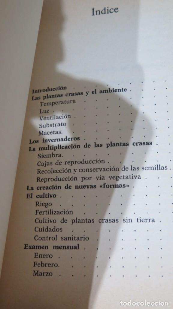 Libros de segunda mano: CACTUS Y OTRAS PLANTAS GRASAS - Foto 2