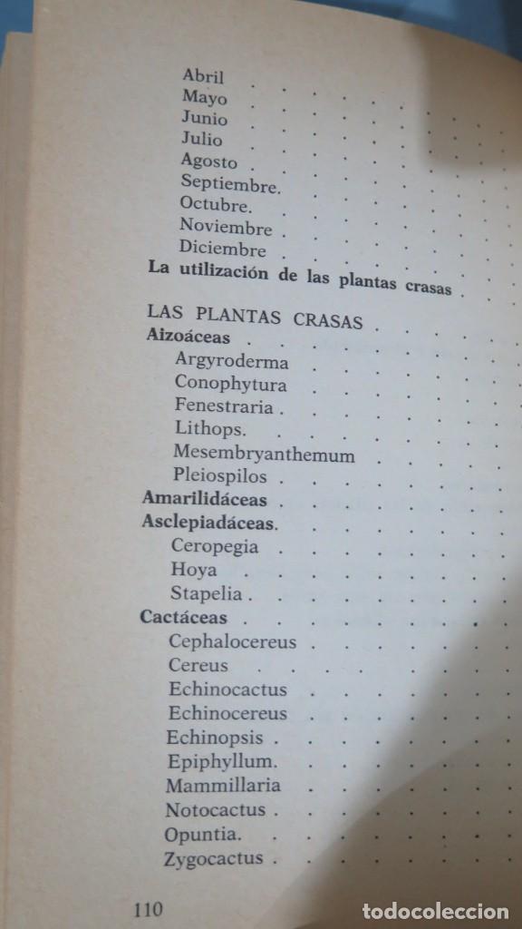 Libros de segunda mano: CACTUS Y OTRAS PLANTAS GRASAS - Foto 3