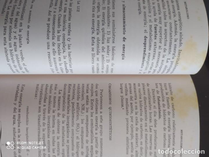 Libros de segunda mano: Biolog&iacute;a - Paul B. Weisz - Foto 3