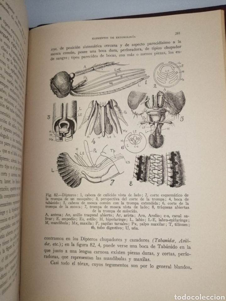 Libros de segunda mano: Elementos de Entomolog&iacute;a General (tercera edici&oacute;n corregida y aumentada) - Foto 6