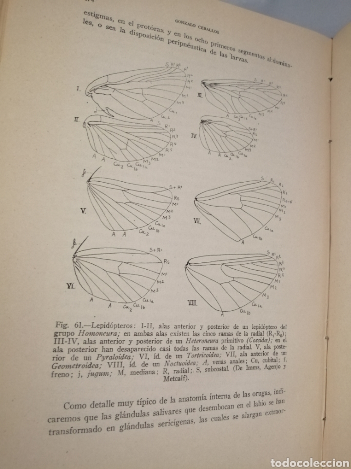 Libros de segunda mano: Elementos de Entomolog&iacute;a General (tercera edici&oacute;n corregida y aumentada) - Foto 7
