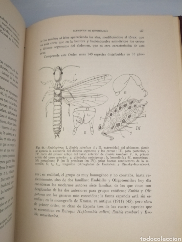 Libros de segunda mano: Elementos de Entomolog&iacute;a General (tercera edici&oacute;n corregida y aumentada) - Foto 8