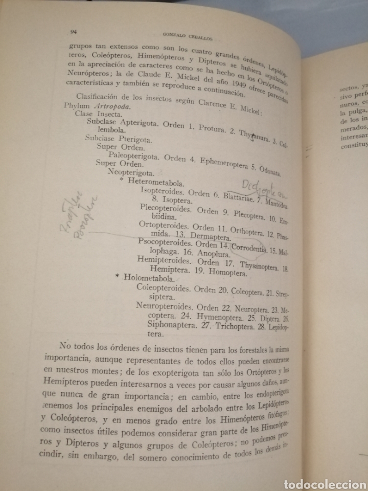 Libros de segunda mano: Elementos de Entomolog&iacute;a General (tercera edici&oacute;n corregida y aumentada) - Foto 9