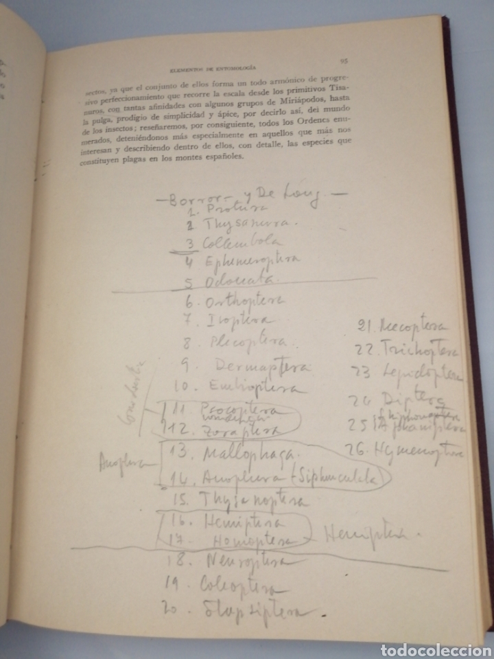 Libros de segunda mano: Elementos de Entomolog&iacute;a General (tercera edici&oacute;n corregida y aumentada) - Foto 10