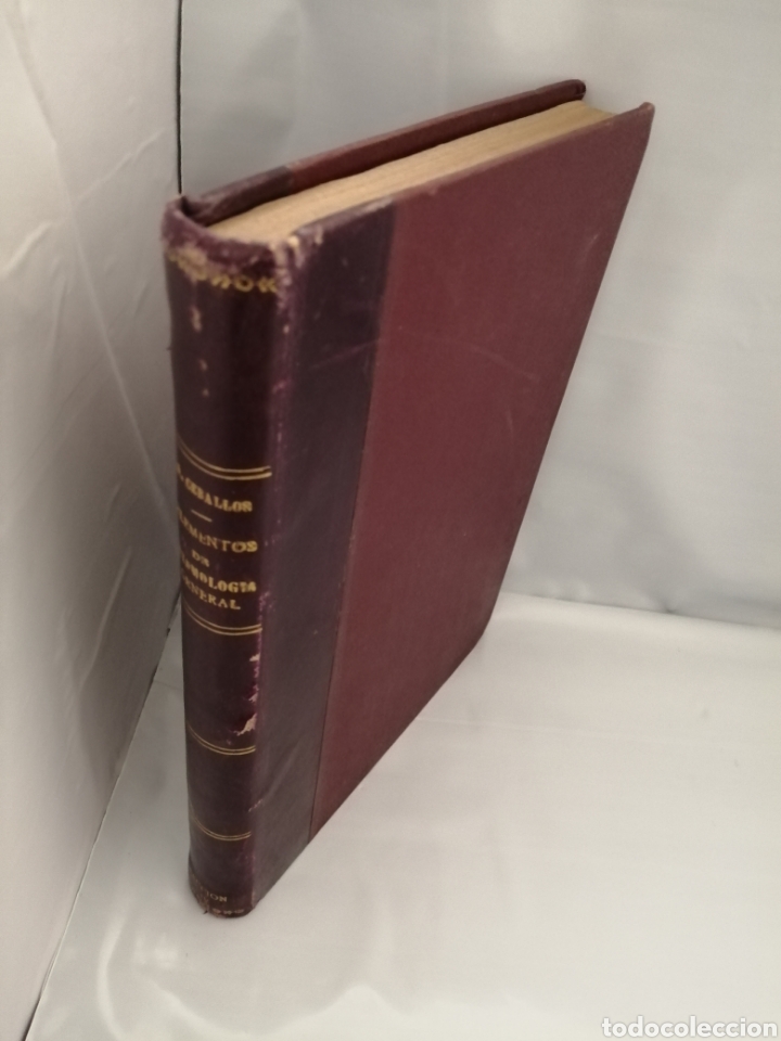 Libros de segunda mano: Elementos de Entomolog&iacute;a General (tercera edici&oacute;n corregida y aumentada) - Foto 11