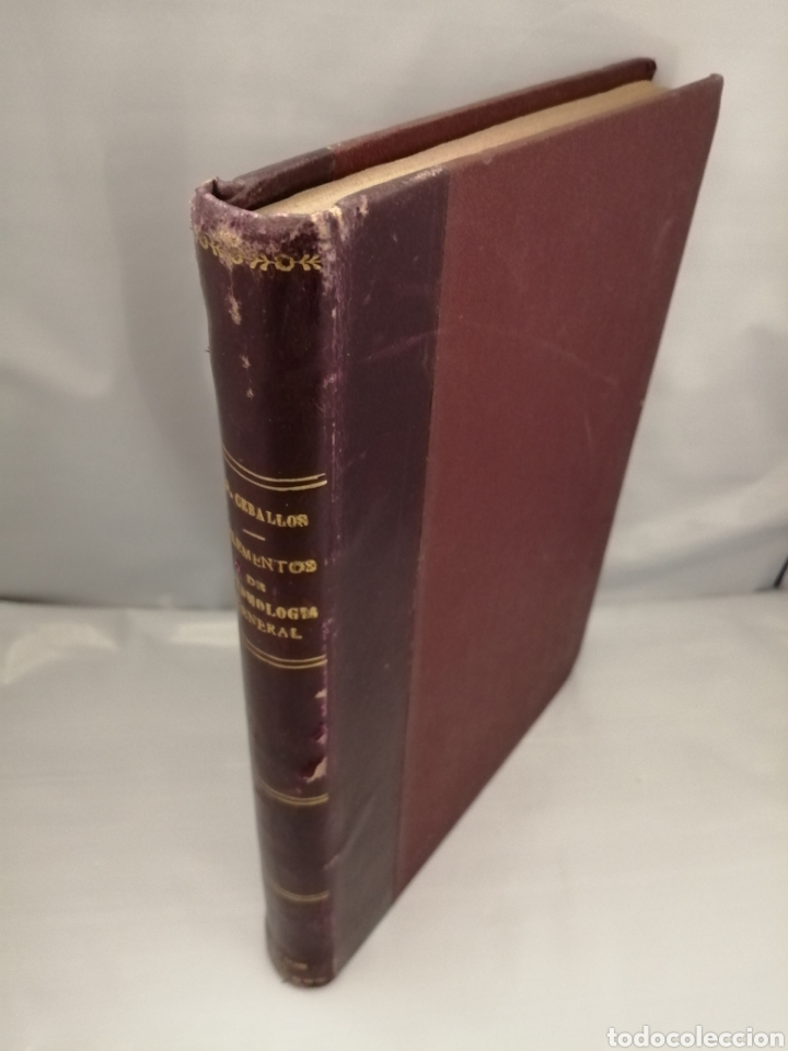Libros de segunda mano: Elementos de Entomolog&iacute;a General (tercera edici&oacute;n corregida y aumentada) - Foto 1