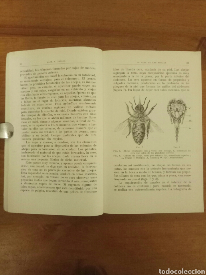 Libros de segunda mano: La vida de las abejas Dr. Karl V Frisch - Foto 2