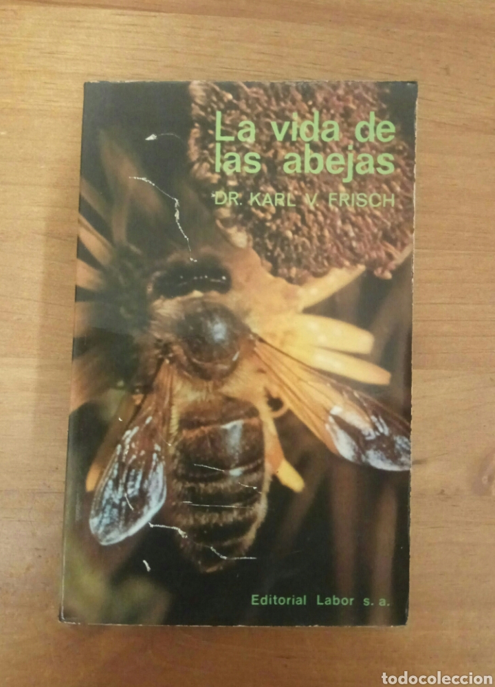 Libros de segunda mano: La vida de las abejas Dr. Karl V Frisch - Foto 1