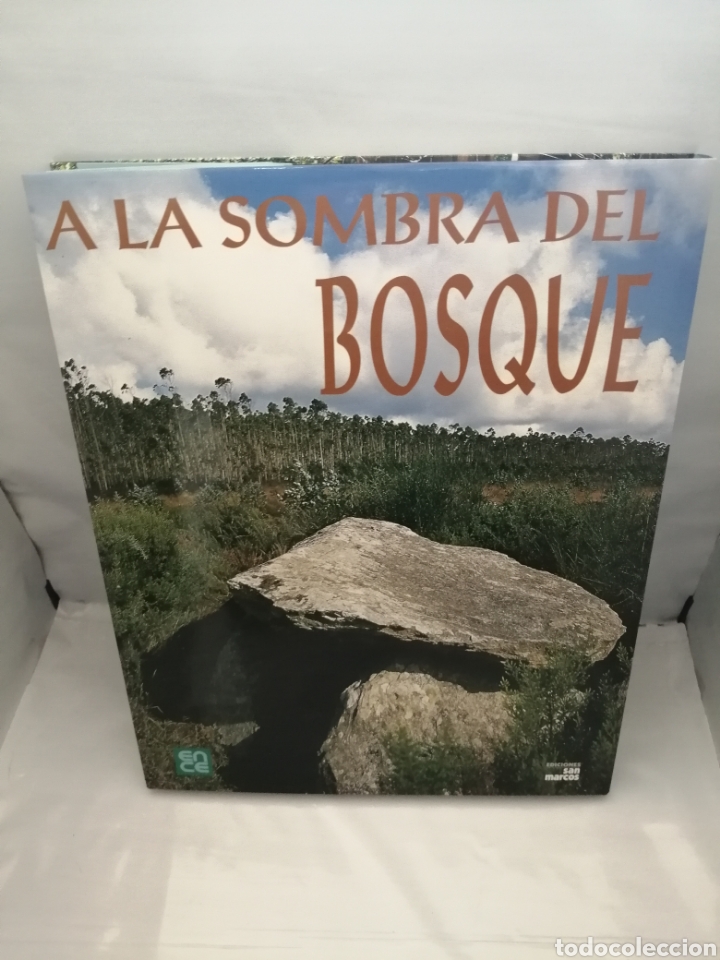 Libros de segunda mano: A la Sombra del Bosque / In Forest Shade (Primera edici&oacute;n) - Foto 2
