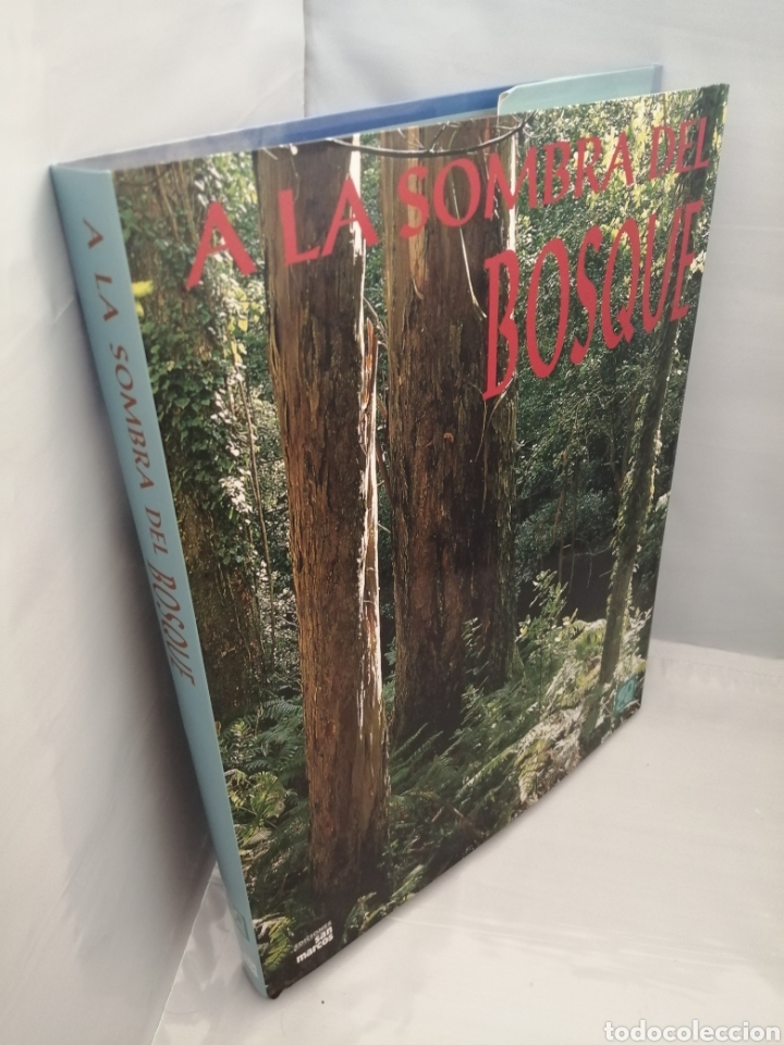 Libros de segunda mano: A la Sombra del Bosque / In Forest Shade (Primera edici&oacute;n) - Foto 10
