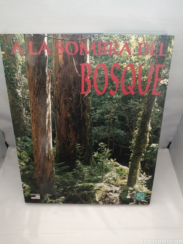 Libros de segunda mano: A la Sombra del Bosque / In Forest Shade (Primera edici&oacute;n) - Foto 1
