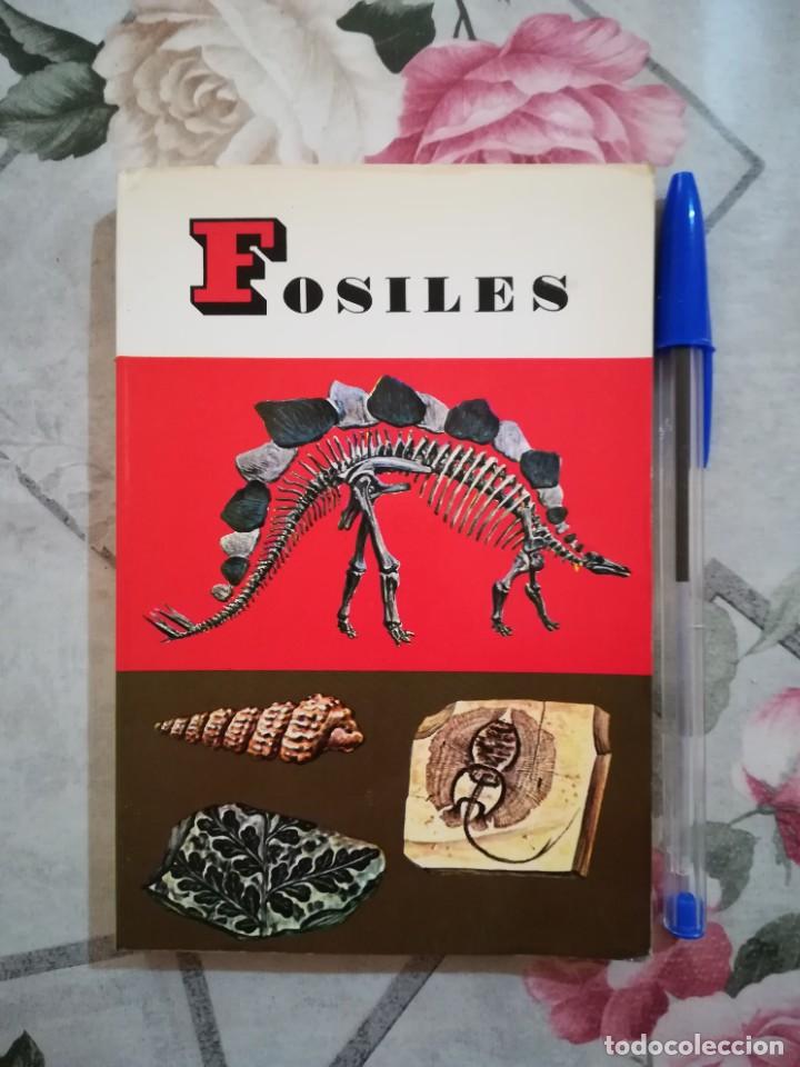 Libros de segunda mano: F&oacute;siles - V.V.A.A. - Daimon - 1970 - Foto 1
