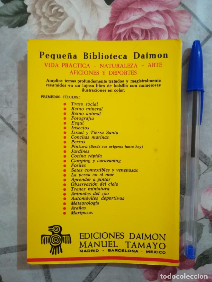 Libros de segunda mano: F&oacute;siles - V.V.A.A. - Daimon - 1970 - Foto 2