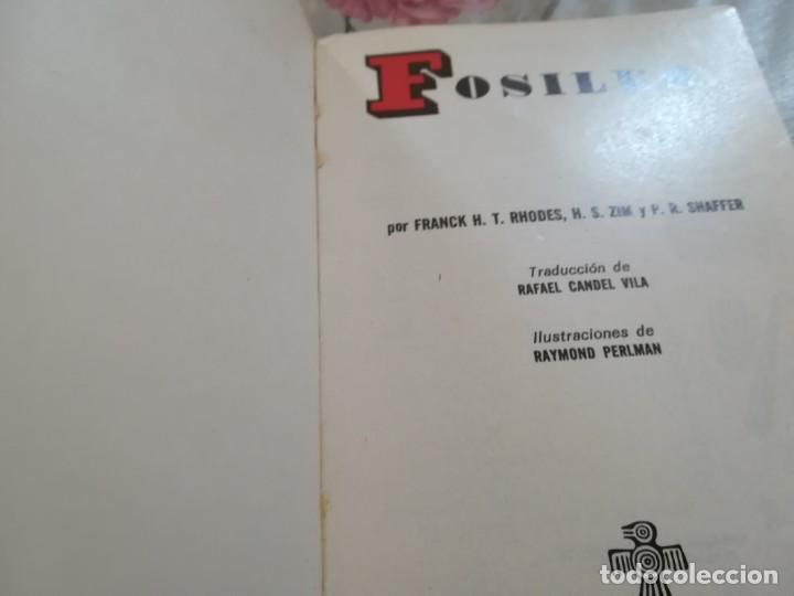 Libros de segunda mano: F&oacute;siles - V.V.A.A. - Daimon - 1970 - Foto 3