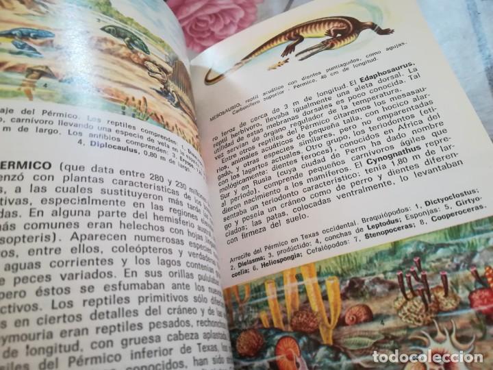 Libros de segunda mano: F&oacute;siles - V.V.A.A. - Daimon - 1970 - Foto 4