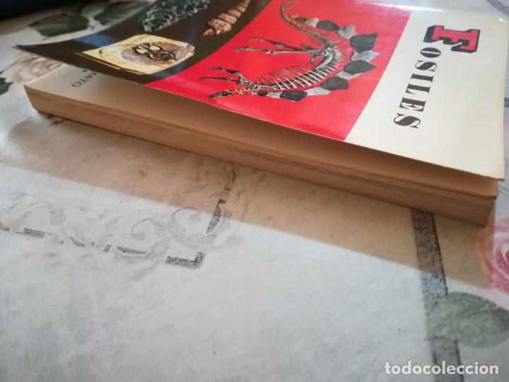 Libros de segunda mano: F&oacute;siles - V.V.A.A. - Daimon - 1970 - Foto 7