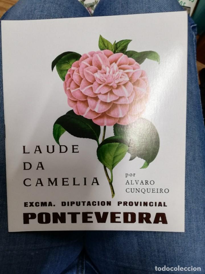 Libros de segunda mano: Laude da camelia. &Aacute;lvaro Cunqueiro - Foto 1
