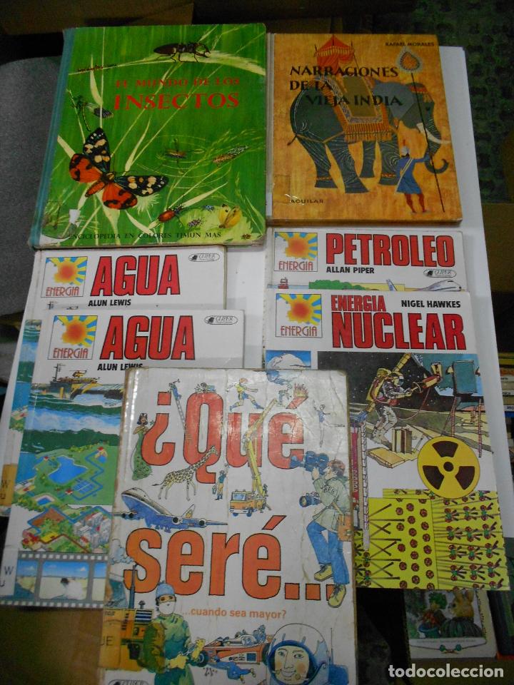 Libros de segunda mano: EL MUNDO DE LOS INSECTOS - CG8 - Foto 1