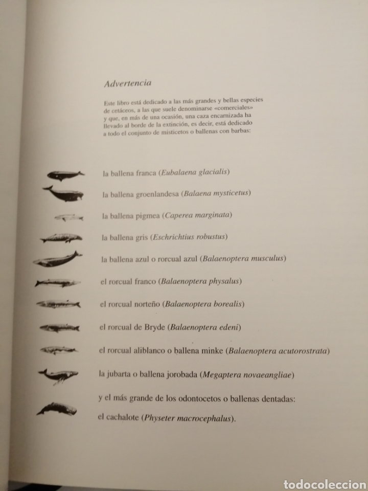 Libros de segunda mano: El Universo de Jacques Cousteau: Ballenas I y II - Foto 7