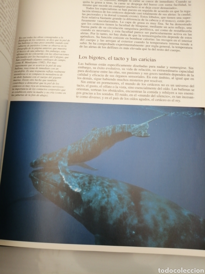 Libros de segunda mano: El Universo de Jacques Cousteau: Ballenas I y II - Foto 9