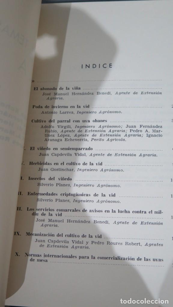 Libros de segunda mano: DIEZ TEMAS SOBRE LA VID - Foto 2