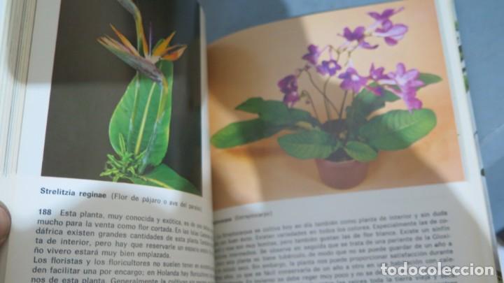 Libros de segunda mano: PLANTAS DE INTERIOR. G KROMDIJK - Foto 2