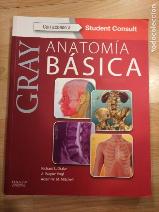 Libros de segunda mano: Anatom&iacute;a b&aacute;sica. Gray. Richard L. Drake, A. Wayne Vogl y Adam - Foto 1