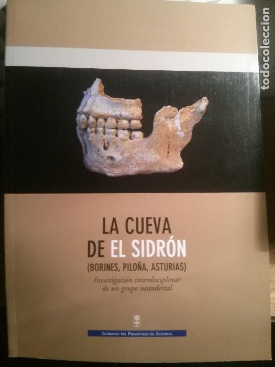 Libros de segunda mano: la cueva de el sidr&oacute;n, gobierno del principado de asturias. - Foto 1