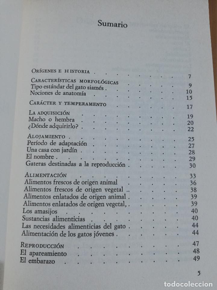 Libros de segunda mano: EL GATO SIAM&Eacute;S (RICARDO CASTILLO) - Foto 3
