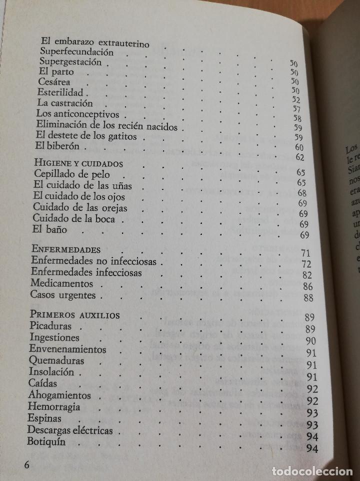 Libros de segunda mano: EL GATO SIAM&Eacute;S (RICARDO CASTILLO) - Foto 4