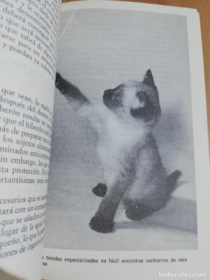Libros de segunda mano: EL GATO SIAM&Eacute;S (RICARDO CASTILLO) - Foto 5