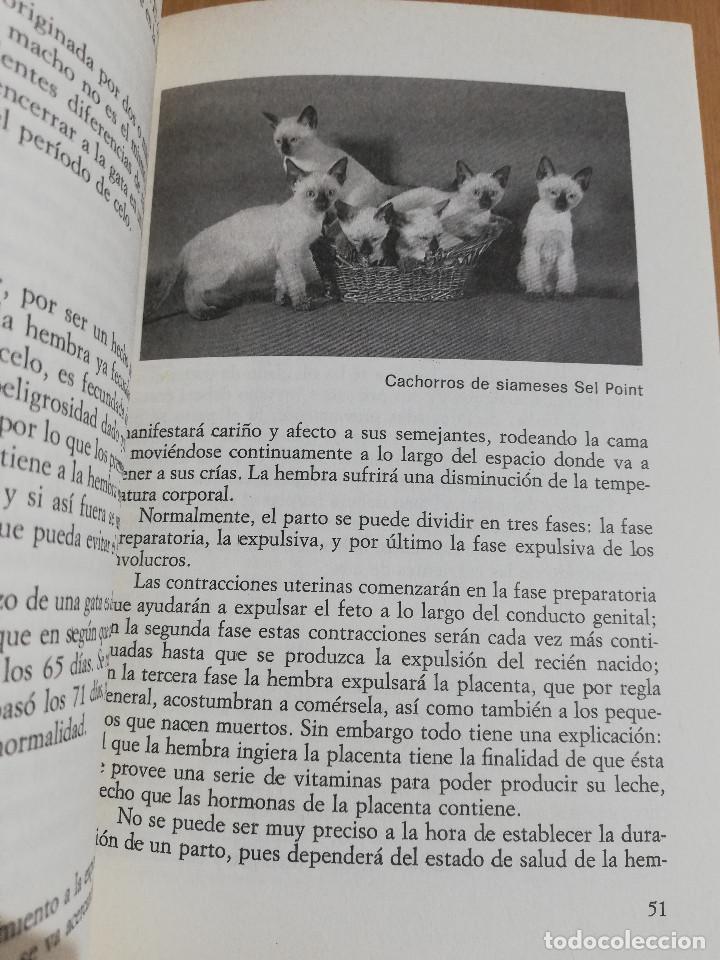 Libros de segunda mano: EL GATO SIAM&Eacute;S (RICARDO CASTILLO) - Foto 6