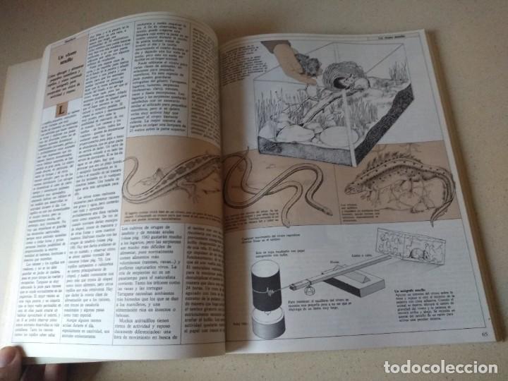 Libros de segunda mano: Antiguo libro Los amantes de la Naturaleza de Michael Chinery - Foto 2
