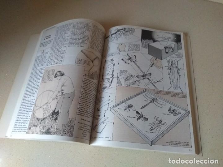 Libros de segunda mano: Antiguo libro Los amantes de la Naturaleza de Michael Chinery - Foto 3